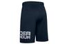 Under Armour Шорты мужские Колледж Блю 1351653-408