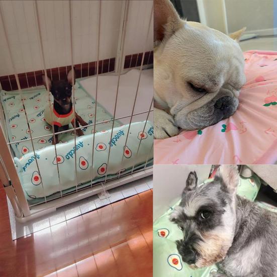 Летний прохладный коврик для собак, охлаждающая кровать, мягкая, дышащая, с рисунком фруктов, износостойкая, моющаяся, спальная кровать для собак и кошек