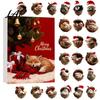 Christmas Party Supplies Advent Calendar 24 Days of 2D Acrylic Forest Animal Acorn Seasonal Home Ornament Ornaments for Kids Holiday Countdown