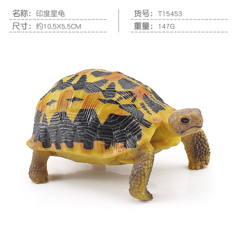 Simulation Amphibian Reptile Model Tortoise Tortoise Star Tortoise Static Decoration Cognitive Ornament Toy