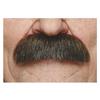 Costume Accessory - Viving Costumes - Moustache - Multicoloured - One Size