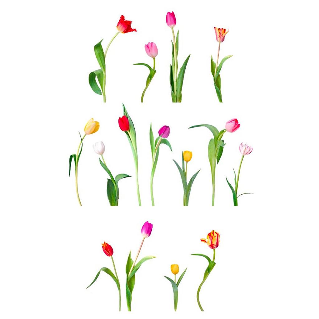 Les Trésors De Lily [R6021] - Multicolored 'Tulips' Sticker Sheet - 20x70 Cm