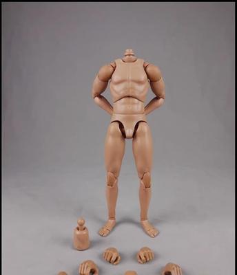 Игрушки и хобби [TOYBARJAPAN] Фигурка 1/6 COOMODEL COO BD00102030407080910 Мужское тело для экшен-фигурки (Стандартное тело BD001)