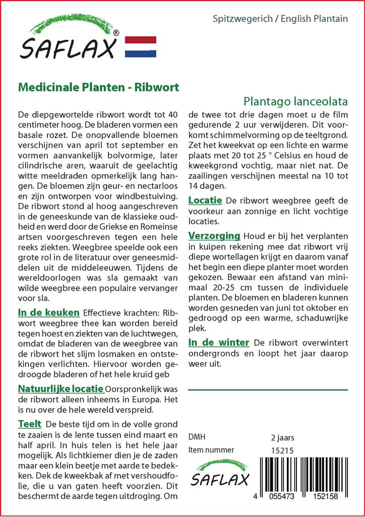 SAFLAX Garden in the Bag - Подорожник английский - 100 семян - С субстратом в подходящем пакете - Plantago lanceolata