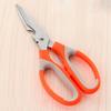 Household Stainless Steel Scissors Multi-purpose Kitchen Cut Barbecue Flowers Cut Seam Cut Bottle Opener Can Clip Walnut Chicken Bone