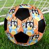 Bluey Theme Size 5 Soccer Ball, Suitable for Both Indoor and Outdoor Matches, a Gift Suitable for Everyone.