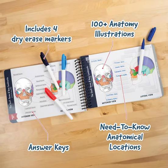 Лабораторная рабочая тетрадь по анатомии. Более 100 иллюстраций по анатомии человека. Рабочая тетрадь по изучению физиологии для студентов медицинских вузов, врачей и медсестер.