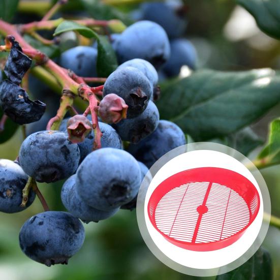 Сито для еды с черникой, дуршлаг, лоток для очистки, сливная корзина для овощей и ягод, кухонный инструмент для чистки фруктов и овощей для кондитерской