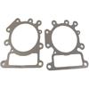 BH-Motor New Valve Gasket Set For 794152 Replaces # 690190 794114 796584 699168 692410