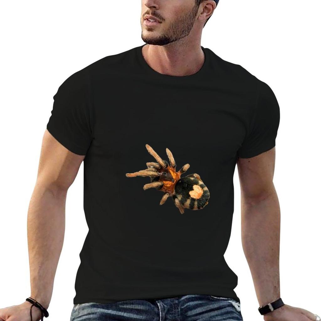 Cyriocosmus elegans Tarantula TShirt t shirts with prints t shirts for Unisex pack cotton t shirts for Unisex cotton funny Tshirt
