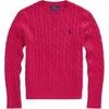 Polo Solid Color Cable Knit Logo Embroidery Crew Neck Sweater Kids Sweater Pink 313901316-004