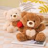 Bear Plush Teddy Toy Cartoon Animal Stuffed Doll Room Decoration Gift Couple