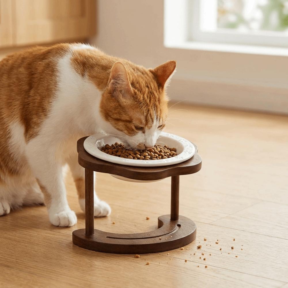 Detachable Elevated Cat Water Bowl Anti Slip Raised Dog Food Bowl Ceramic Cat Bowl Pet Supplies