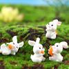 Micro Landscape Cute Cartoon Mini Carrot Rabbit Horticultural Resin Ornaments Bonsai Animal Decoration