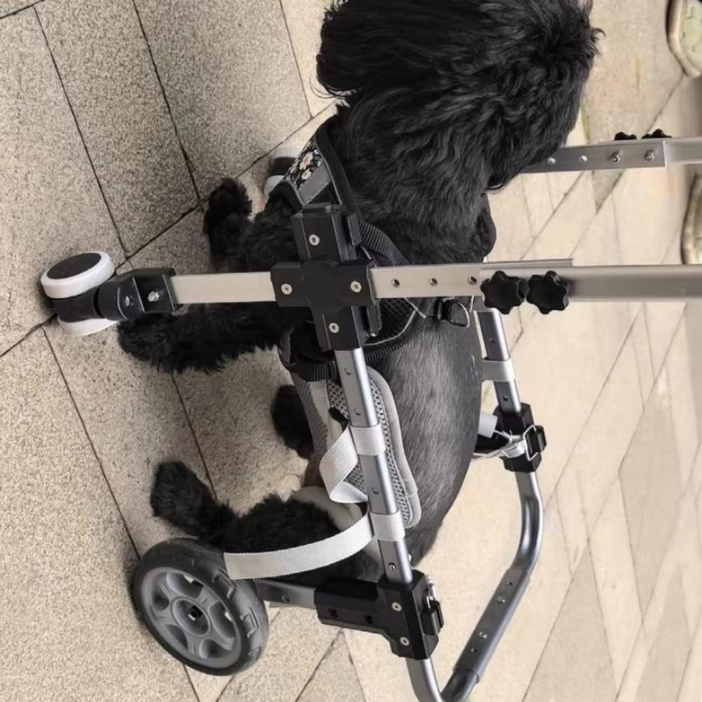2/4 Wheel Mobility Pet Mobility Cart Lightweight Aluminum Animal Assistance Bracket Pet Mobility