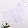 Embroidered Lace Panties Transparent Sexy Low Waist Underwear Ladies Girls Soft Breathable Briefs