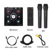 Dual Microphone Karaoke Machine Bluetooth 5.0 Sound Power Amplifier Integrated Amp & U-Disk Player Home Audio Subwoofer System