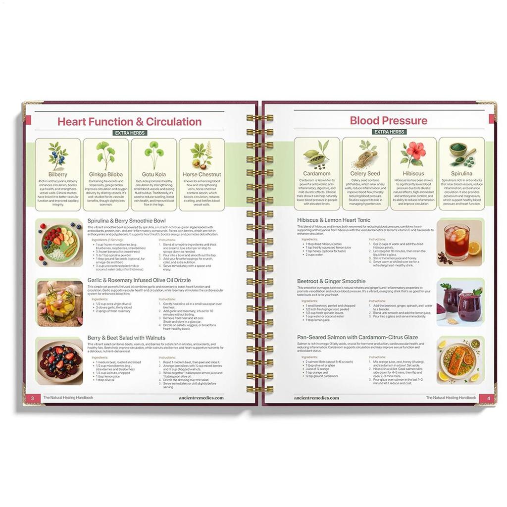 Plant Theme Eating Recipe Human Health Guide Book Spiral Binding Natural Book for Women Men Family Adult Elderly Chef Study