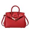 Fashion Women's Handbag Classic One Shoulder Oblique Straddle Handheld Versatile Platinum Bag Spring/Summer New Style