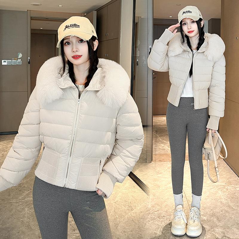 Cotton-padded Jacket Winter New Fashion Design Waist Hooded Down Padded Jacket for Small Women