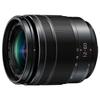 Panasonic Standard Zoom Lens for Micro Four Thirds Lumix G VARIO 12-60mm/F3.5-5.6 ASPH./POWER O.I.S H-FS12060