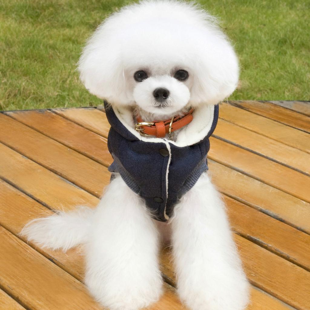 Куртка, толстовка, зимний пуховик, домашнее пальто с капюшоном Anumal, теплая одежда для крупных и средних собак (L (грудь: 44см, Шея: 29см), Серый)