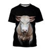 Men Oversized Smooth Spanish Bullfighting Loose T-shirt Street Wear T-shirt Summer 3D North African Bull Print T-shirts