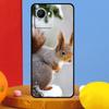 Squirrel Cute Animals For Realme C75 C71 C55 C53 C67 C61 C33 C63 C51 10 11 12 13 14 15 Pro Plus C65 GT7 Pro Case