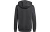 Adidas Originals Sweatshirt Trefoil, Trefoil Letter Logo Print Fleece Lined Hooded Pullover Gray Kids' GN7411