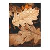 Autumn Decoration Canvas Poster Yellow Leaves Fall View Wall Art Print Pumpkin  Halloween Picture Living Room Home Decor
