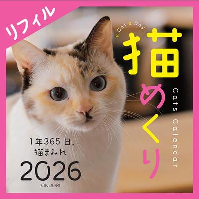 Календарь с кошками 2026 Ежедневный блок для календаря, Календарь, CK-C26-02