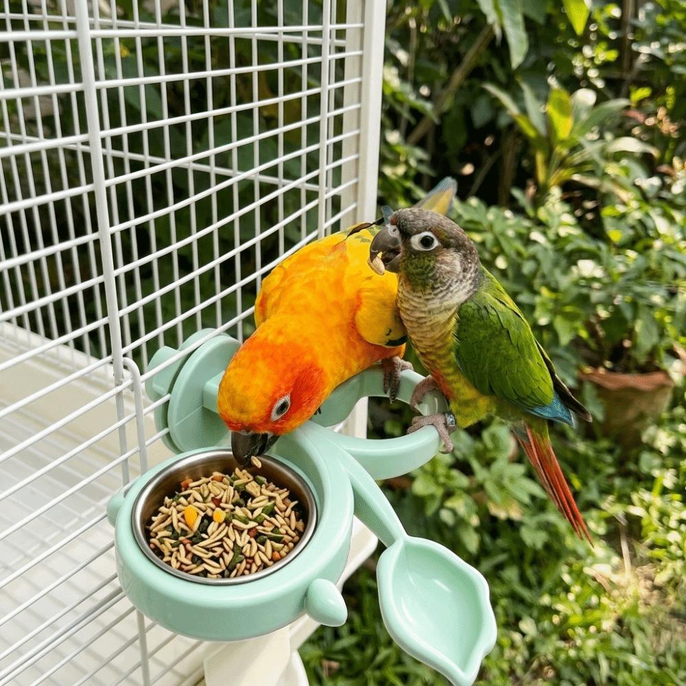 Anti-Splash Parrot Perch Feeder Detachable Bird Feeding Dish Bird Food Stand Bird Training