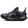 Nike Acg Mountain Fly Low Gore Tex Se Темно-серый Черный IB7328-002