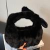 Cute Plush Small Bag 2025 Autumn New Trendy Fashion Trend Foreign Style Girl Handbag Temperament Casual Bag