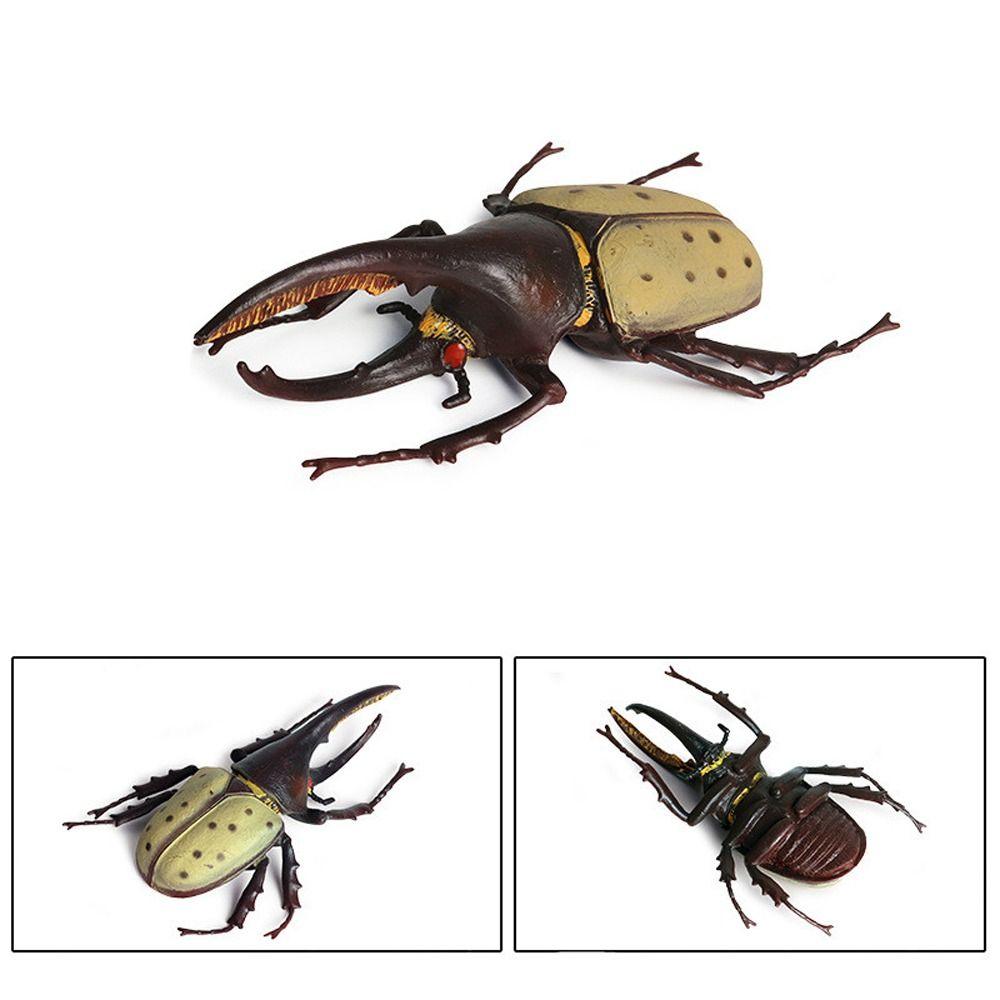 Realistic Beetle Action Figures Wild Insect Lifelike Insect Figurines Desktop Ornament