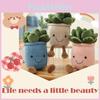 Adorable Succulent Plants Plush Toy With Soft Texture Perfect For Home Decoration