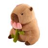 Capybara Plush Toy Simulation Capibara Cosplay Unicorn Dinosaur Dress Boba Bread Fruit Food Decor Birds Bubble Stuffed Animals