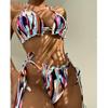 2024 European & American Print Lace-up Halter Bikini Set