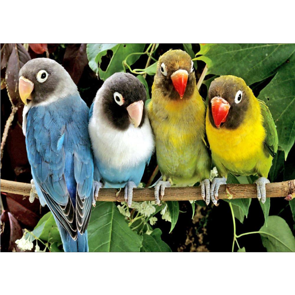 5D Diamond Painting Animal Bird Full Diamond Mosaic Diy Cross Stitch Set Garden Home Decoration Christmas Gift