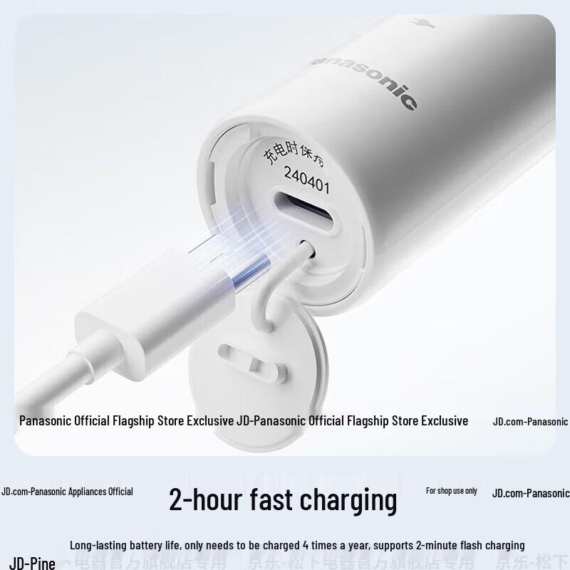 Panasonic DC033 Electric Toothbrush