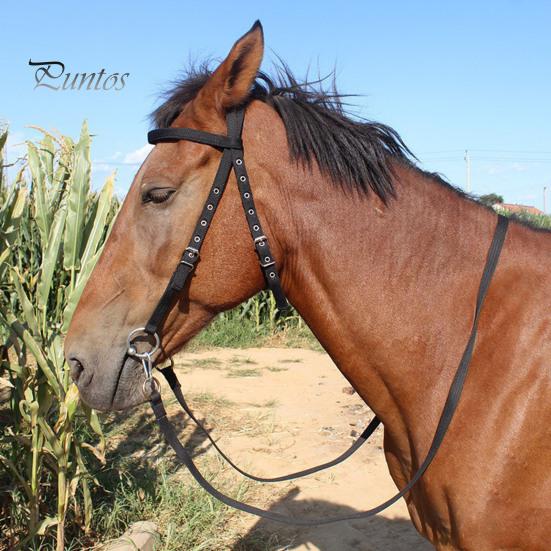 Недоуздок для лошади с регулируемым подбородком, плюшевый подбитый повод для лошади, тренировочное оборудование для лошадей, аксессуар для конного спорта