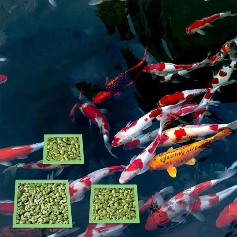 5/10 шт. Кольца для плавающих растений для аквариума, Кольца для кормления рыб, Плавающие кольца для блокировки травы для аквариума, пруда, аквариумные аксессуары