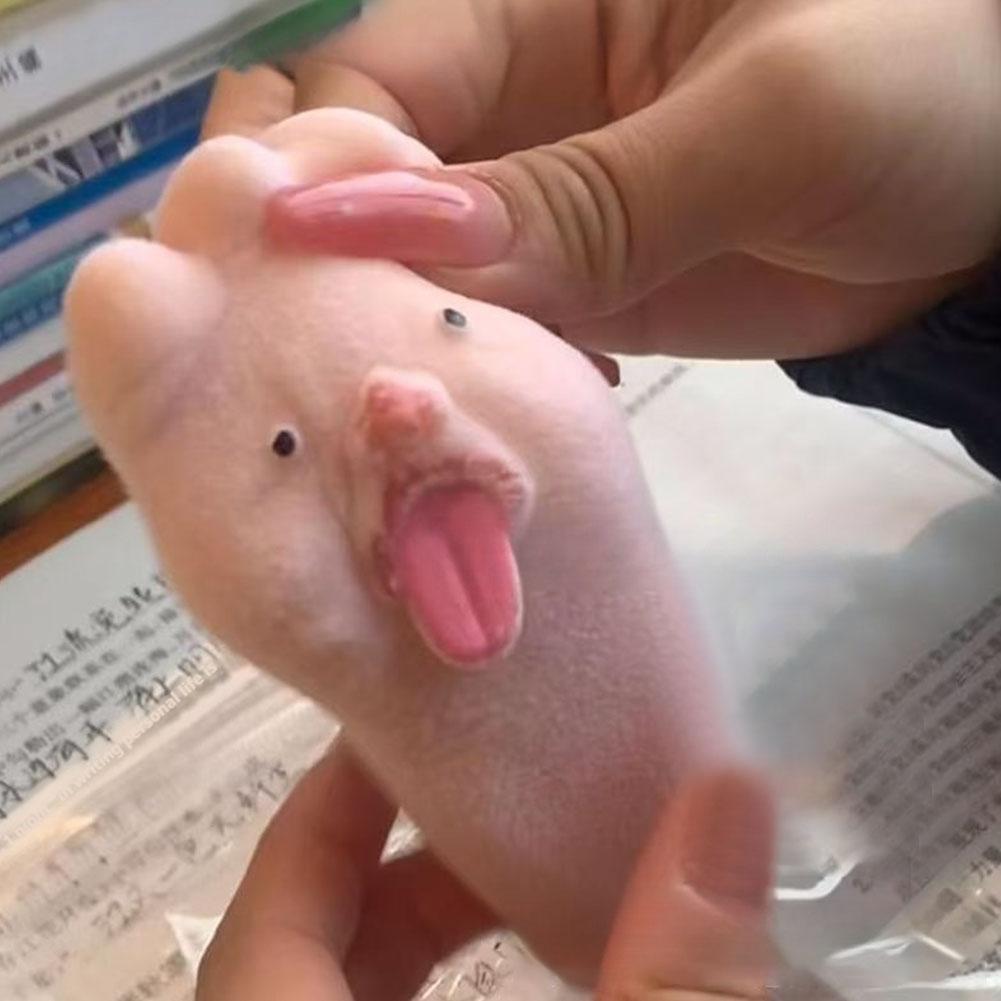 Игрушка-зажималка "Плюющаяся язык, большие ноги" для снятия стресса, игрушка-антистресс, для выплеска эмоций L1T5