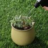 250ml New Plants Garden Spray Bottle Water Sprayer Salon Hairdressing Plants Hair Water Mists