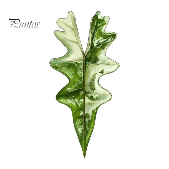 Tropical Plant Refrigerator Magnets 3D Plants Magnet, Acrylic Green Decorative Fridge Home Decor Memo Notes Photo Holder for Kitchen Office
