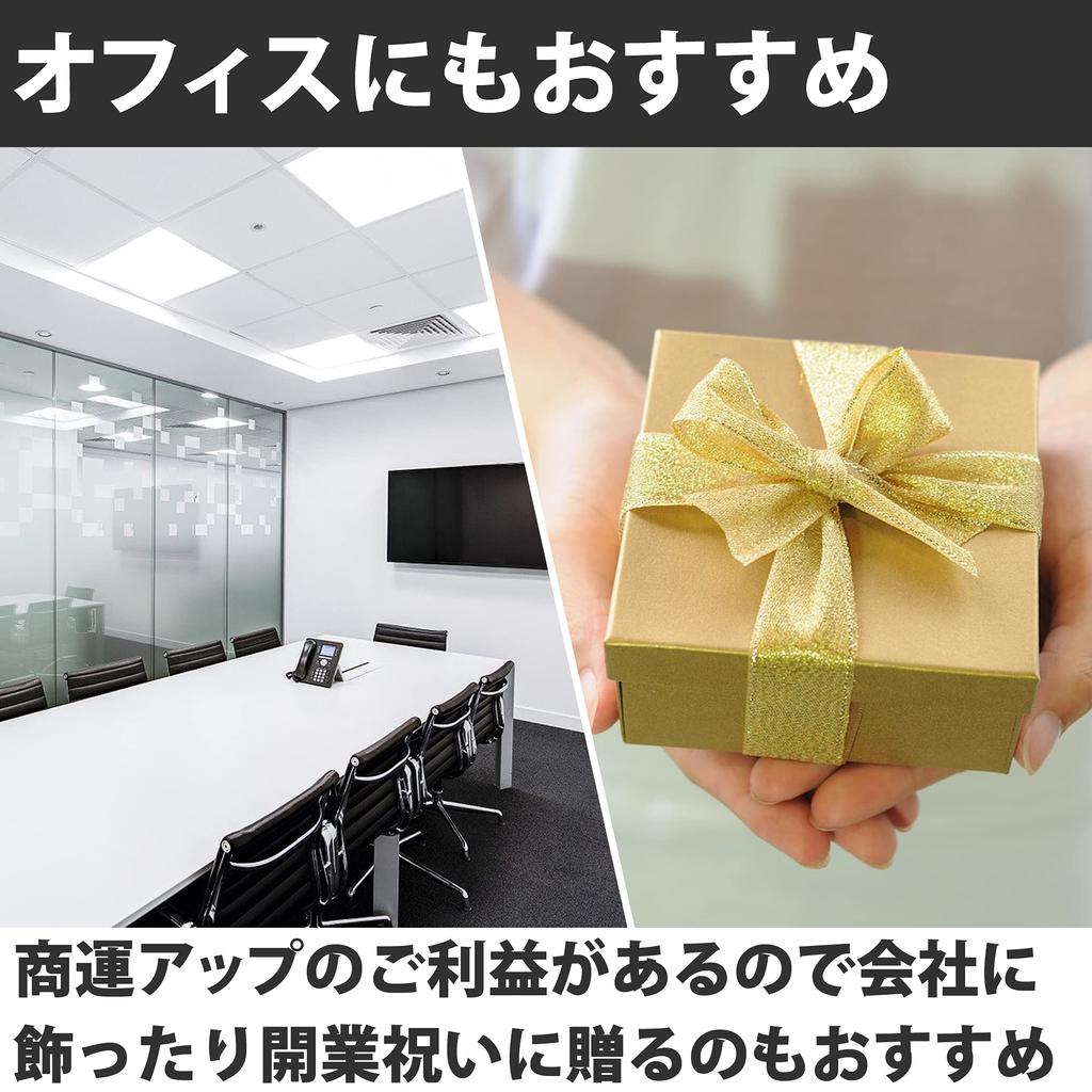 Felimoa Feng Shui Lucky Zodiac Dispel Guardian Interior Set of 2 Ornament, Tiger, Dragon, Charm, Sign, Evil, Amulet, Beast,