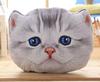 [dokidoki] Cat Kitten Face Cushion Body Pillow Plush Toy American Shorthair Tabby Funny Item Gift Cute Moe Instagram