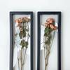 Valentine'S Day Dried Roses Specimen Storage Photo Frame Dried Flowers Photo Frame Sample Exhibition Stand\t\t Display Stand