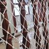 10 м 4/6/8 мм Утолщенная нейлоновая веревка Нескользящая износостойкая прочная плетёная веревка Аксессуары для изготовления сумок, бельевых веревок, поделок своими руками