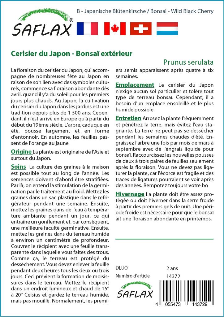 SAFLAX Garden in the Bag - Бонсай - Дикая черная вишня - 30 семян - С субстратом в подходящем пакете - Prunus serulata